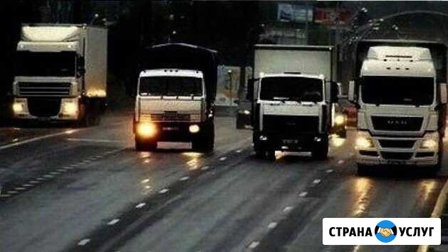 Междугородние перевозки Саранск - изображение 1