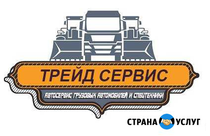 Ремонт и обслуживание Грузовых авто и спецтехники Самара - изображение 1