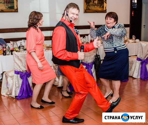 Ведущий в Ступине с DJ Свадьба Юбилей Баянист Ступино - изображение 1