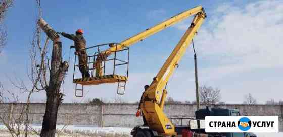 Спил деревьев Старый Оскол
