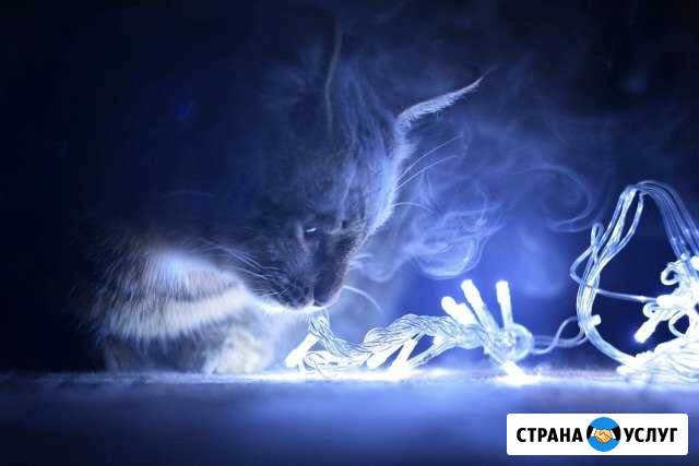 Дизайнер, фотограф Лениногорск - изображение 1