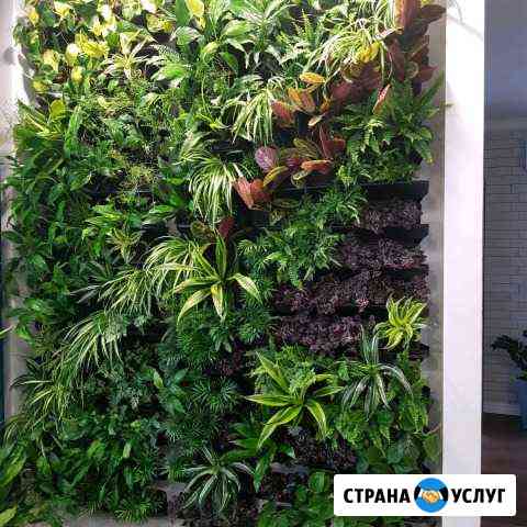 Уход за растениями Новосибирск