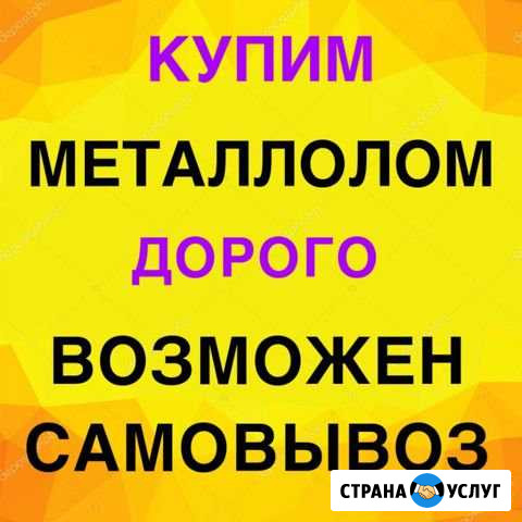 Лом черных и цветных металлов в Нежинке Нежинка - изображение 1