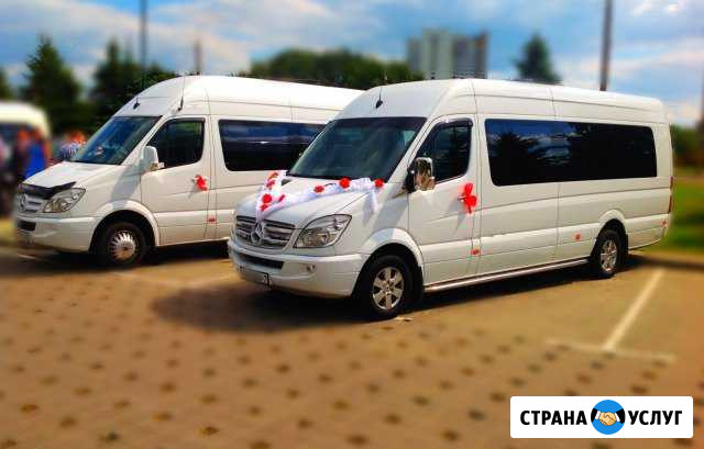 Пассажирские перевозки Волгоград - изображение 1