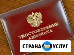 Адвокат Шумкова Г.Ю. - квалифицированная юр.помощь Новочеркасск - изображение 1