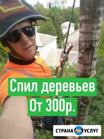Спил обрезка деревьев Ростов-на-Дону