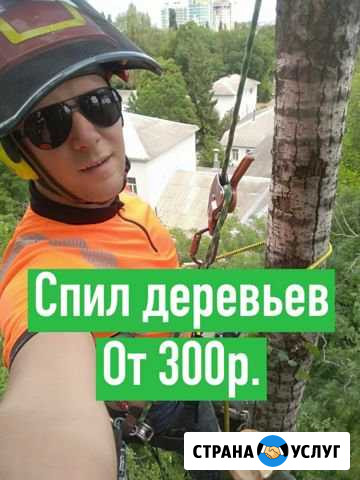 Спил обрезка деревьев Ростов-на-Дону - изображение 1