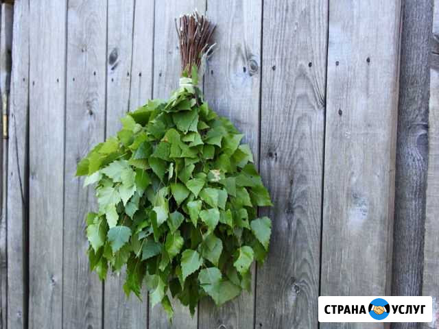 Веники банные Горно-Алтайск - изображение 1