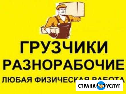 Грузчики и разнорабочии Пермь - изображение 1