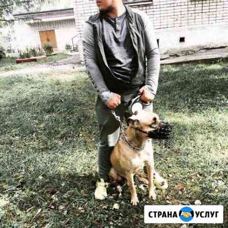 Передержка ваших любимцев.(не гостиница) Нижний Новгород