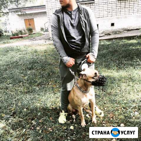 Передержка ваших любимцев.(не гостиница) Нижний Новгород - изображение 1