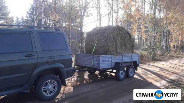 Продам сено/солому/опилки для дома и животных Клинцы - изображение 1