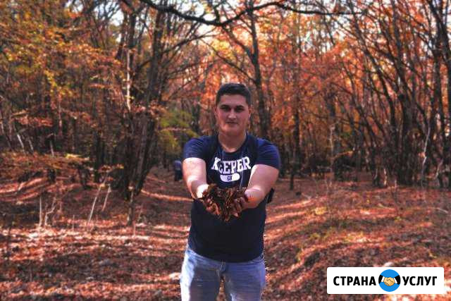 Репетитор по Физике и Математике в Севастополе Севастополь - изображение 1