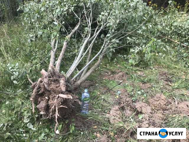 Корчевание покос расчистка выравнивание участка Чехов - изображение 1