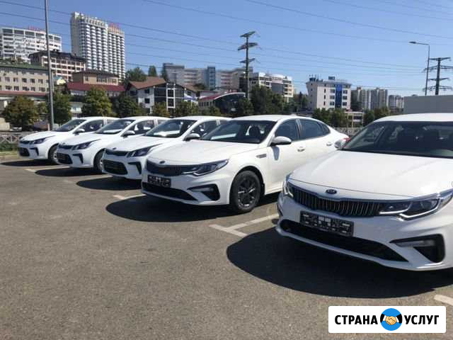 Аренда авто, выкуп Сочи - изображение 1
