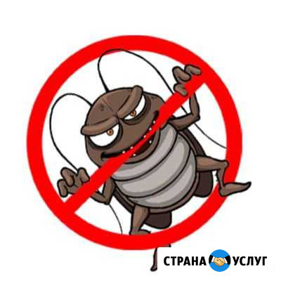 Уничтожение насекомых дезинсекция, дезинфекция, уд Волгодонск - изображение 1