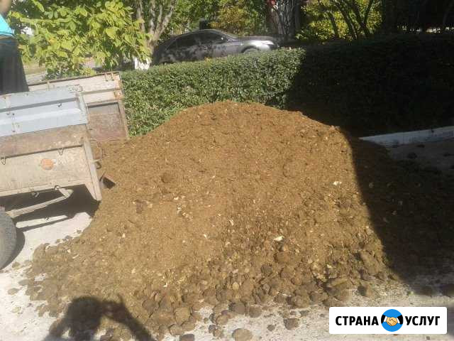 Перегной коровяк конский пилка деревьев Волгодонск - изображение 1