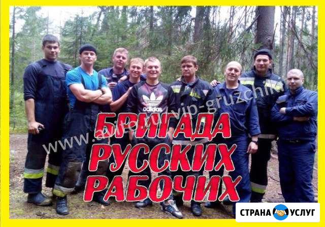 Копка / Спил / Благоустройство / Бригада из 18 чел Энгельс - изображение 1