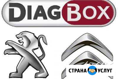 DiagBox компьютерная диагностика Ситроен, Пежо Узловая - изображение 1