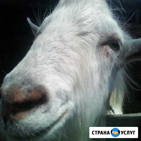 Вязка Уразово - изображение 1