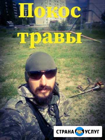 Покос травы. Арборист. Спиливание сложных деревьев Воронеж - изображение 1