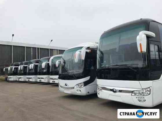 Аренда автобуса микроавтобуса от 5-75 мест Новосибирск