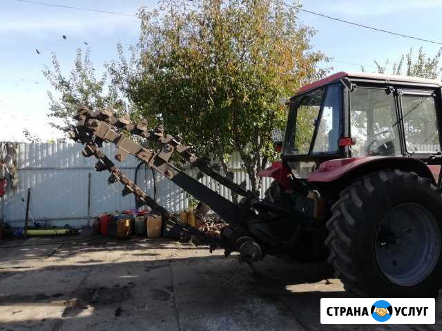Бара Семилуки - изображение 1