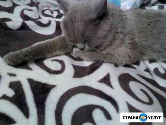 Передержка Липецк