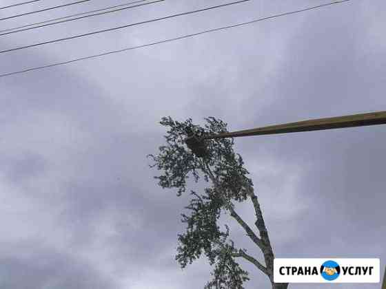 Валка и опиловка деревьев кустов Соликамск