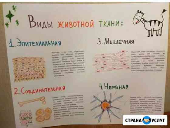 Репетитор начальных классов Москва