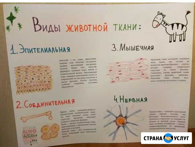 Репетитор начальных классов Москва - изображение 1
