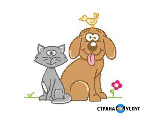 Передержка животных Новокузнецк