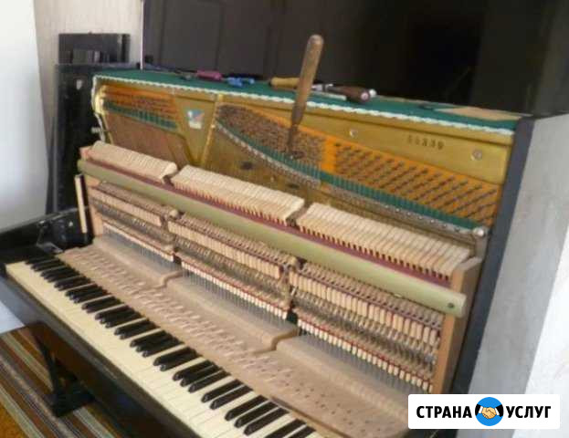 Настройка пианино Новороссийск - изображение 1