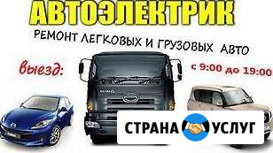 Выездной автоэлектрик. Диагностика. Запуск авто Омск - изображение 1