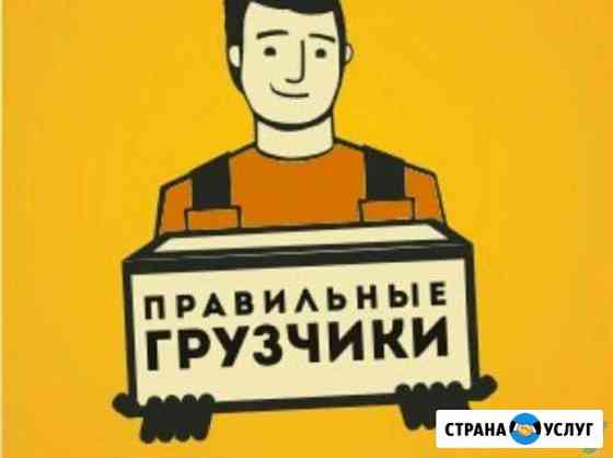 Грузчики-разноробочие без вредных привычек Ухта