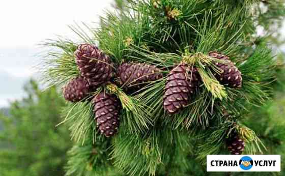 Разнорабочий Красноярск