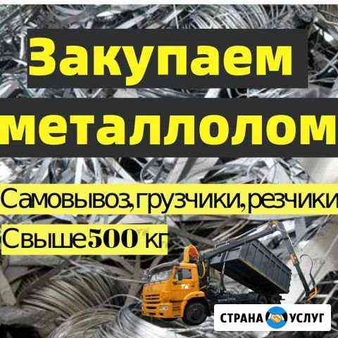 Закупаем металлолом Бийск