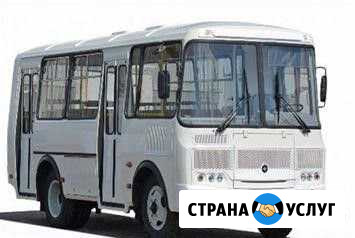 Аренда автобуса паз 4234-04 Волгоград - изображение 1