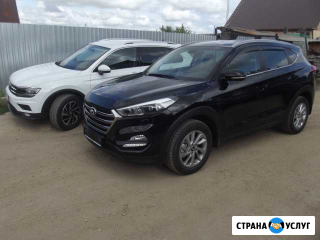 Тонирование автомобилей Пласт - изображение 1
