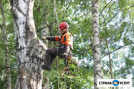 Спил опиловка деревьев вывоз мусора Ростов-на-Дону