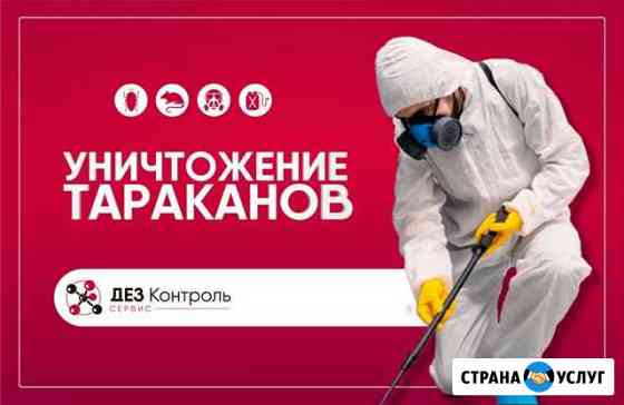 Уничтожение насекомых, грызунов, плесени, запаха Тюмень