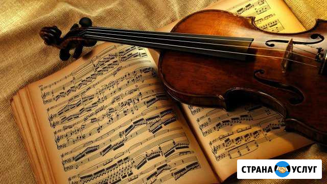 Обучение игре на скрипке Ставрополь - изображение 1