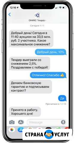 Тендерное сопровождение Чебоксары - изображение 1