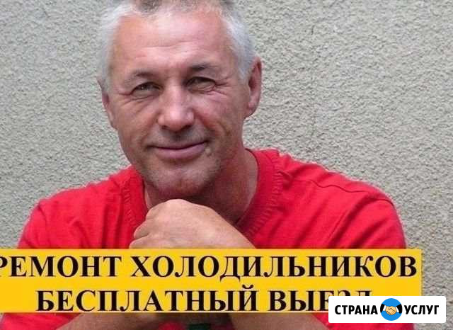 Ремонт холодильников Нижний Новгород - изображение 1
