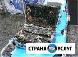 Ремонтирую компьютеры и ноутбуки руками из плеч Калининград