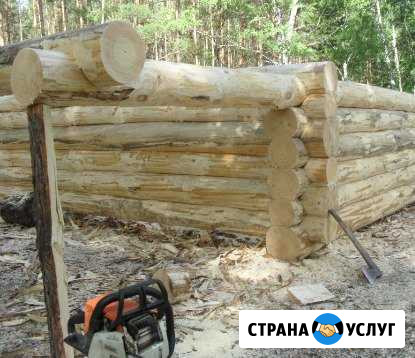 Рублю срубы на заказ Новосибирск - изображение 1