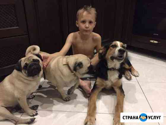Передержка животных Краснодар