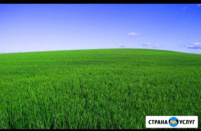 Покос травы Нальчик - изображение 1