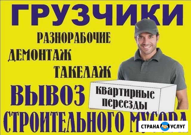 Грузчики- разнорабочие Вешенская - изображение 1