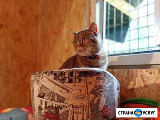 Передержка собаки/кошки/грызуны/птицы/рептилии Москва